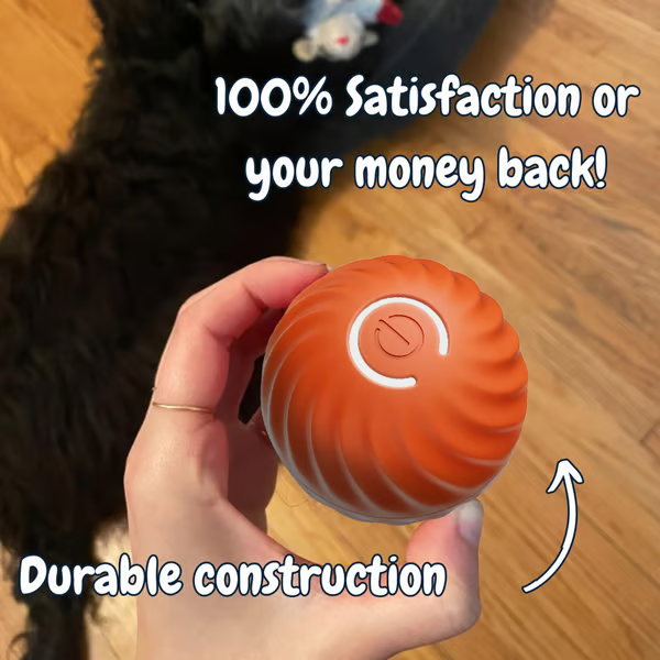 🐕Interactive Dog Toys Dog Ball🐶