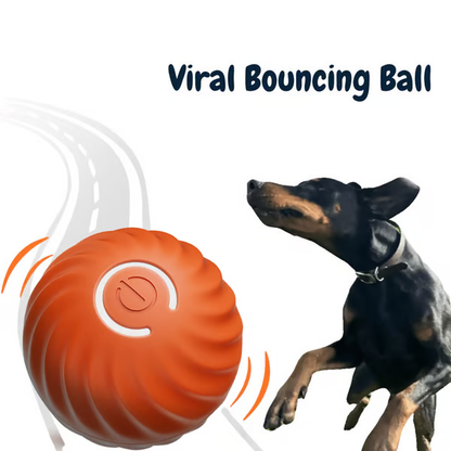🐕Interactive Dog Toys Dog Ball🐶