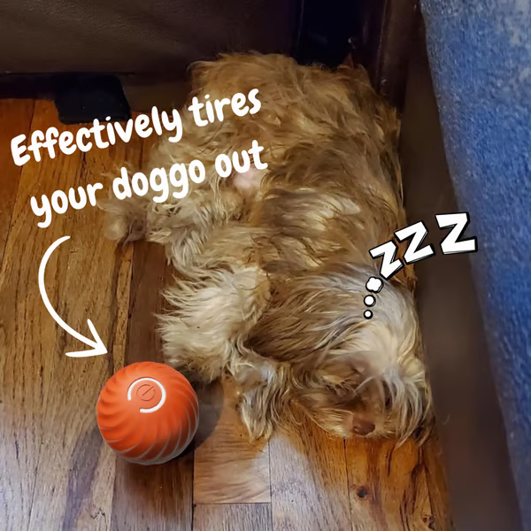 🐕Interactive Dog Toys Dog Ball🐶