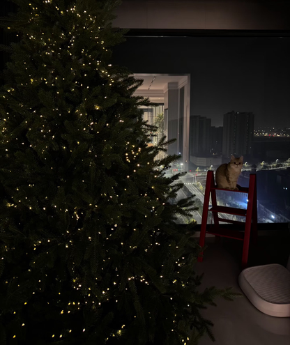 🌲🎅LED Christmas light string🔥🌟