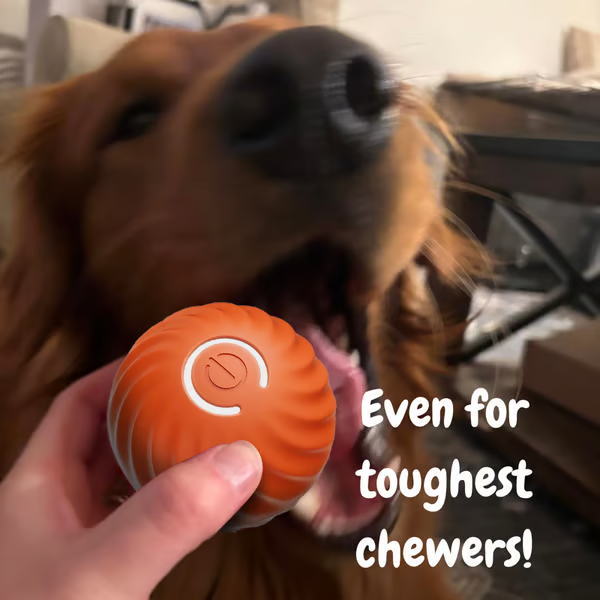 🐕Interactive Dog Toys Dog Ball🐶